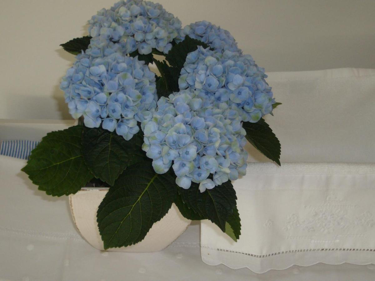 De Moeraseik Bed & Breakfast Zele Dış mekan fotoğraf
